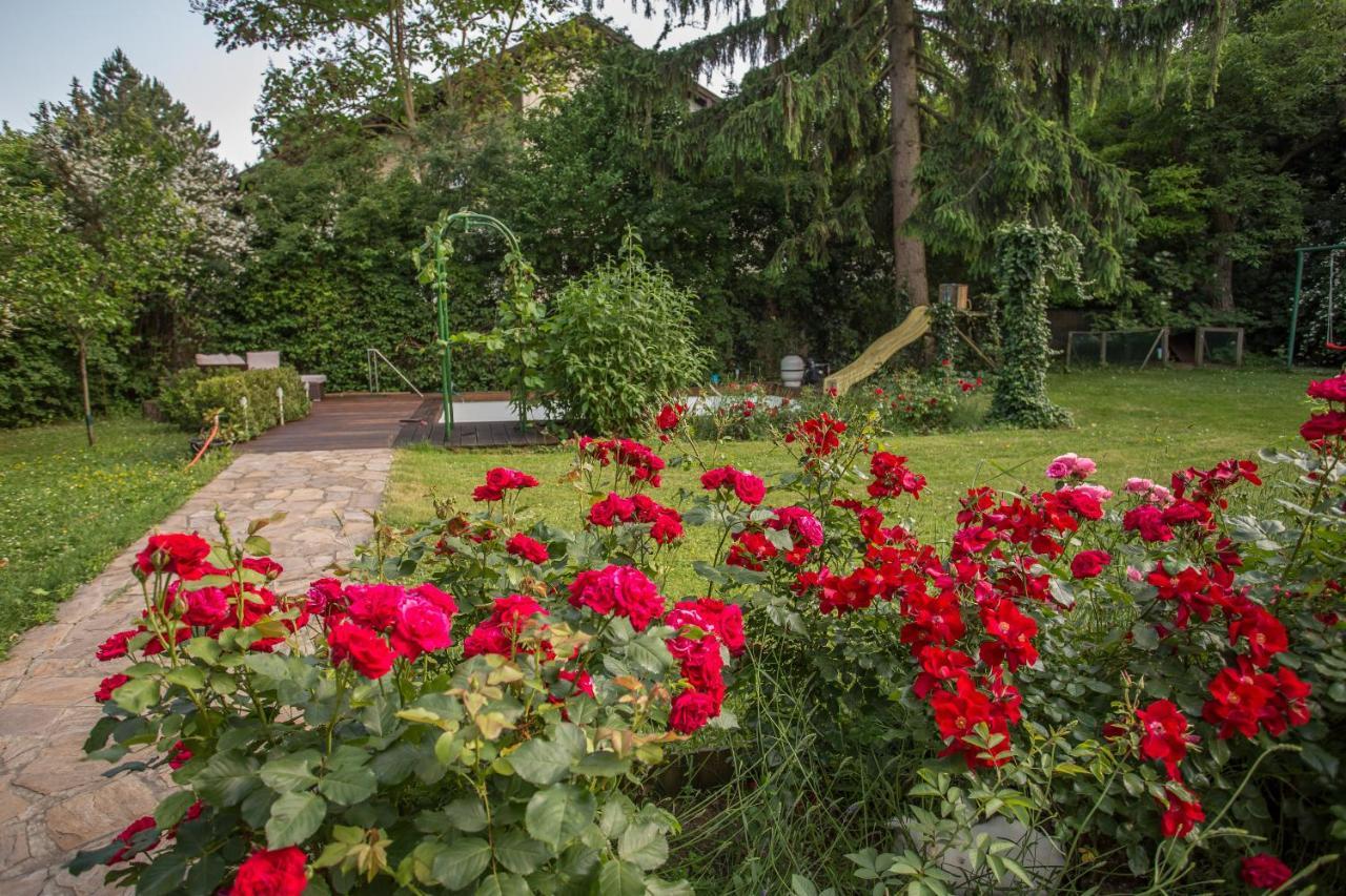 Huebsches Privatzimmer Mit Bad Perchtoldsdorf Dış mekan fotoğraf